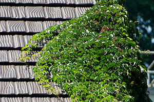 Composite tile roofing in Florida | American Mastercraft